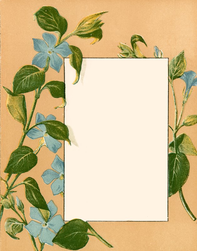 Février - Alicia Amy Leith