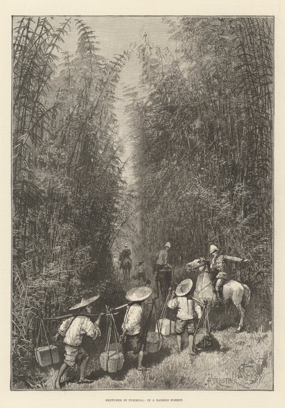 Esquisses à Formosa, dans une forêt de bambous - Amedee Forestier