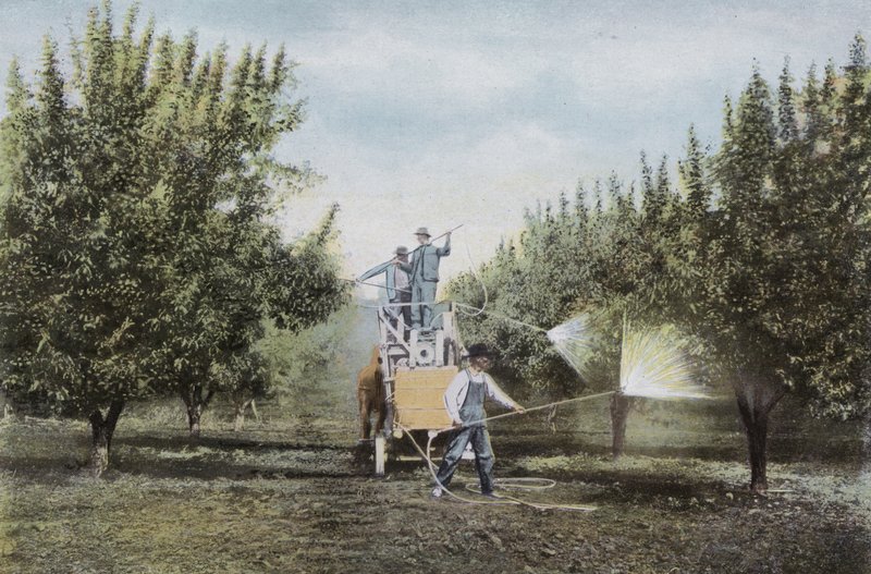 Oregon : Pulvérisation dans un verger de l
