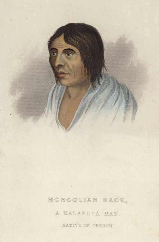 Un homme Kalapuya - American School