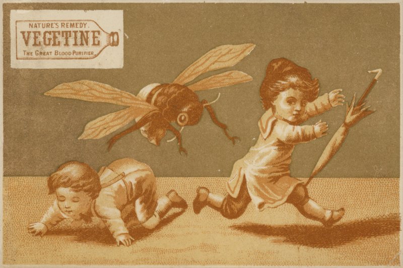 Enfants poursuivis par une abeille - American School