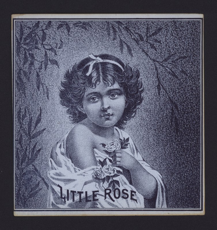 Little Rose, étiquette de cigare - American School