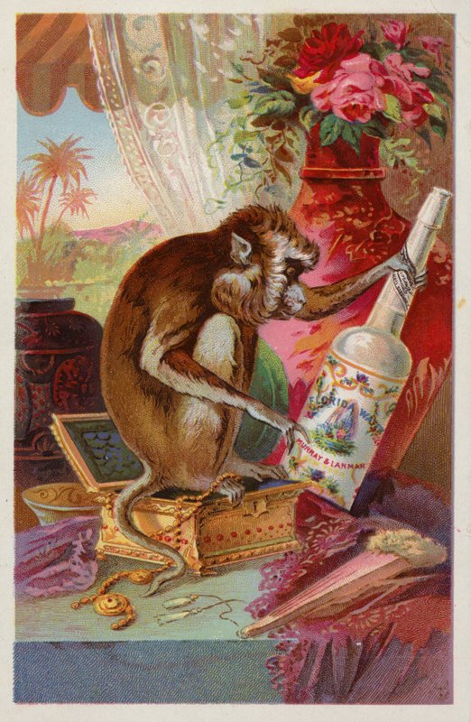 Singe avec une bouteille - American School