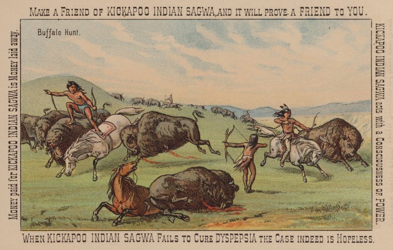Amérindien chassant le bison - American School