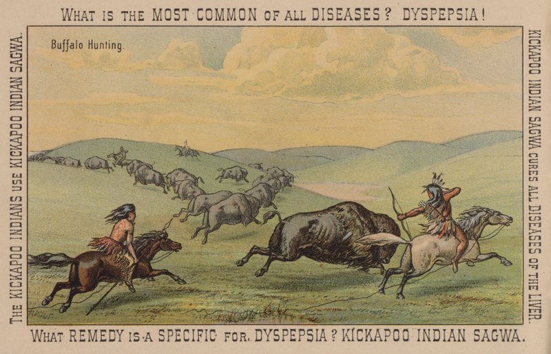 Amérindiens chassant le bison - American School