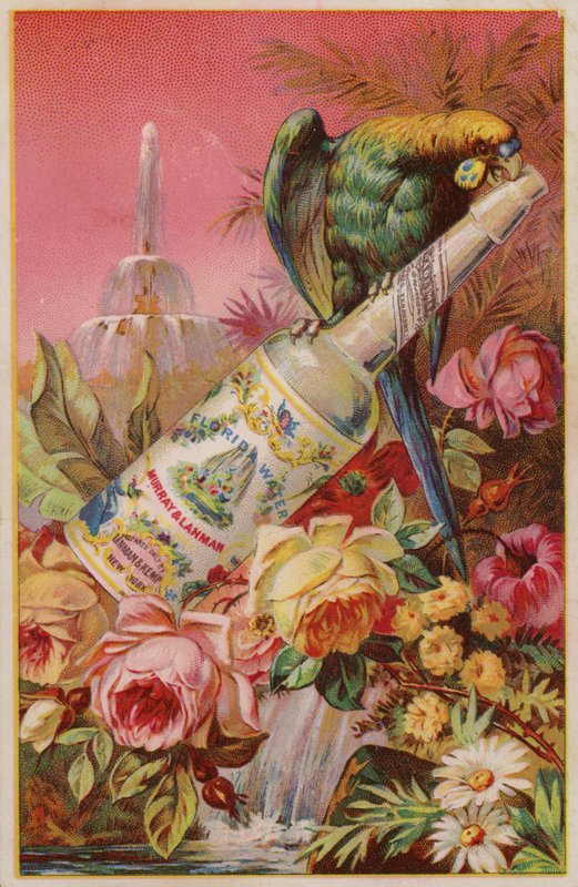 Perroquet avec une bouteille d