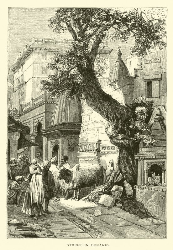 Rue à Bénarès - American School
