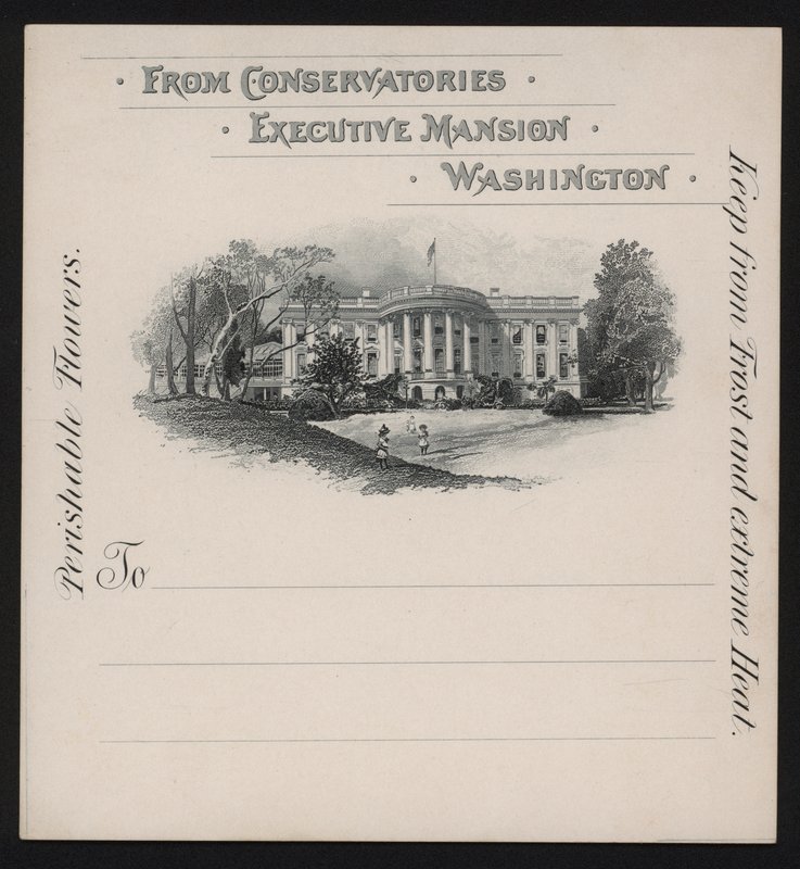 La Maison Blanche, Washington DC, USA - American School