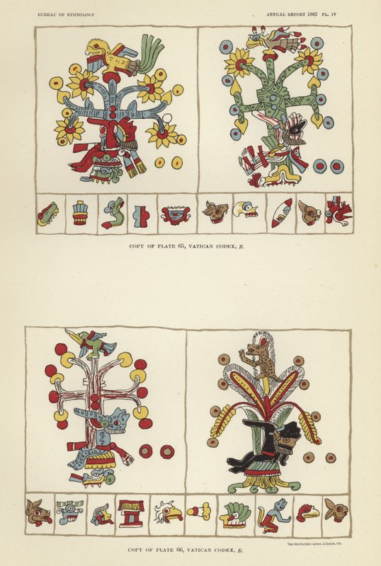 Codex Vatican - American School