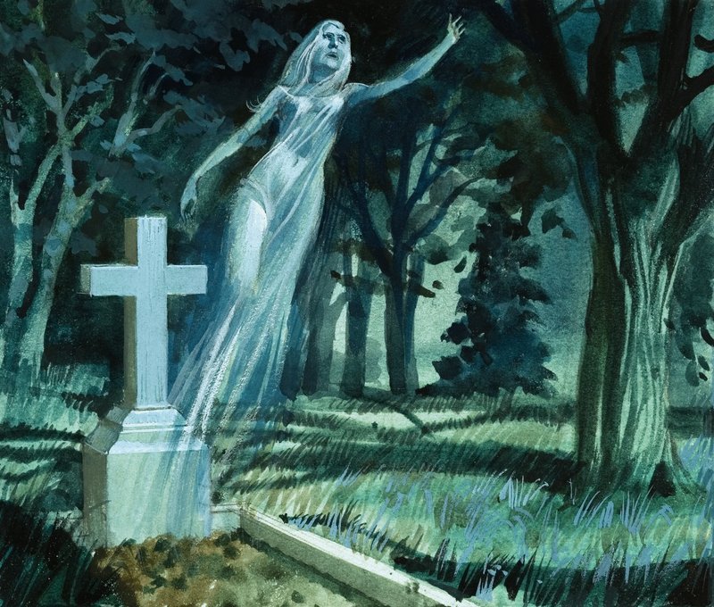 Un siège dans les stalles : Giselle - Andrew Howat