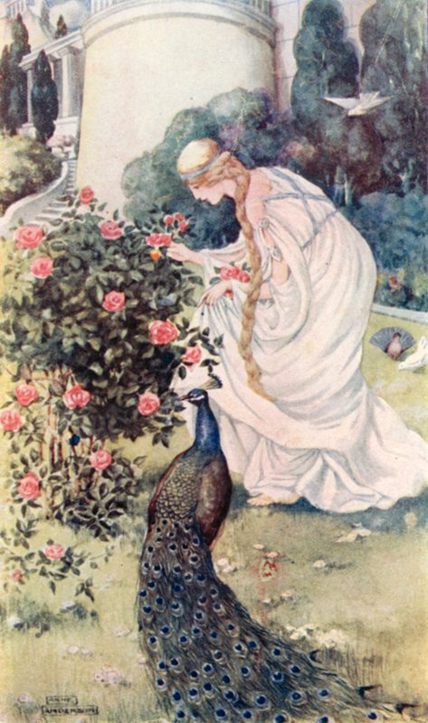 Le Conte du Chevalier - Anne after Anderson