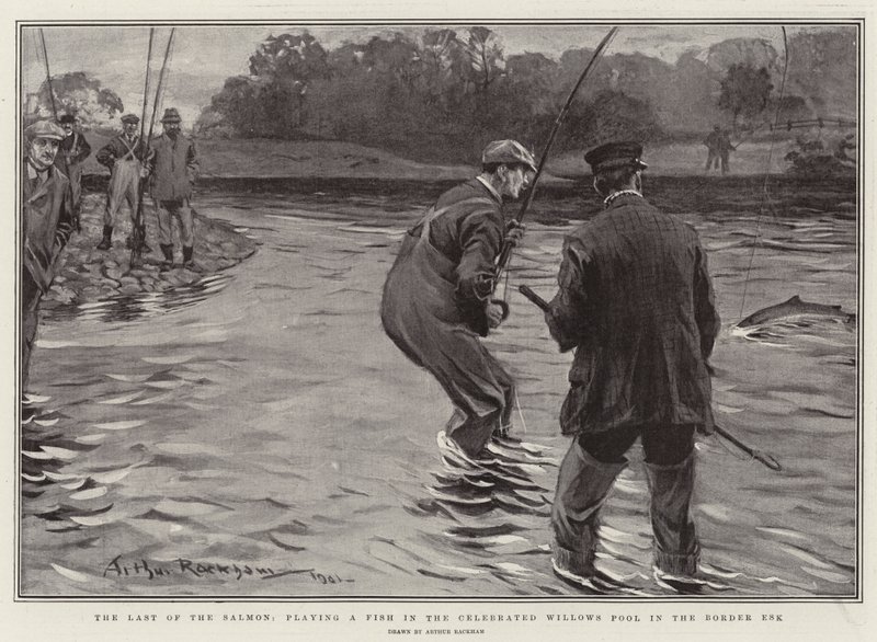 Le dernier des saumons, jouant un poisson dans le célèbre Willows Pool dans le Border Esk - Arthur Rackham
