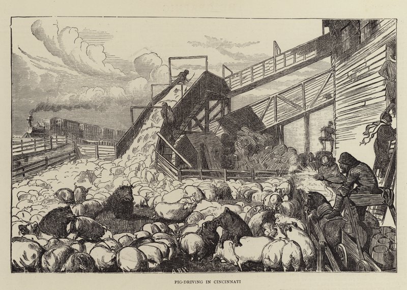 Conduite de porcs à Cincinnati - Arthur Boyd Houghton