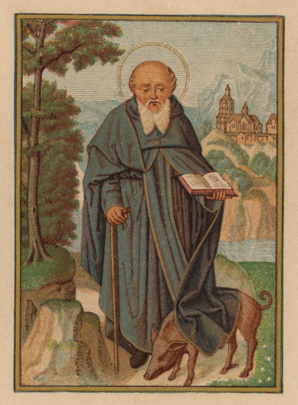 Saint Antoine - Austrian School