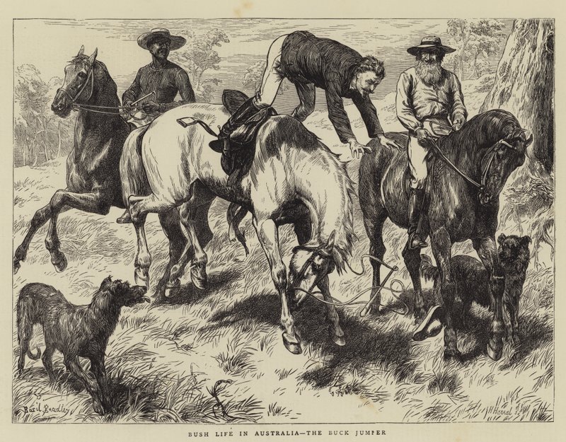 Vie de brousse en Australie, le Buck Jumper - Basil Bradley