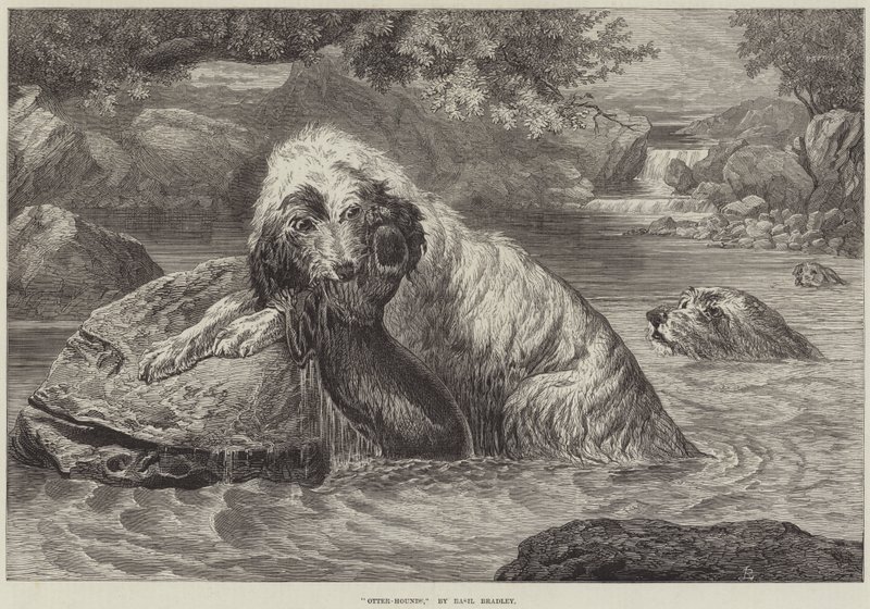 Chiens de loutre - Basil Bradley
