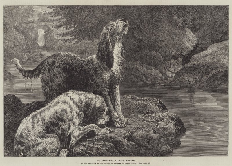Chiens de loutre - Basil Bradley