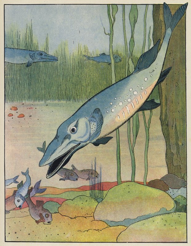 Poissons - Benjamin Rabier