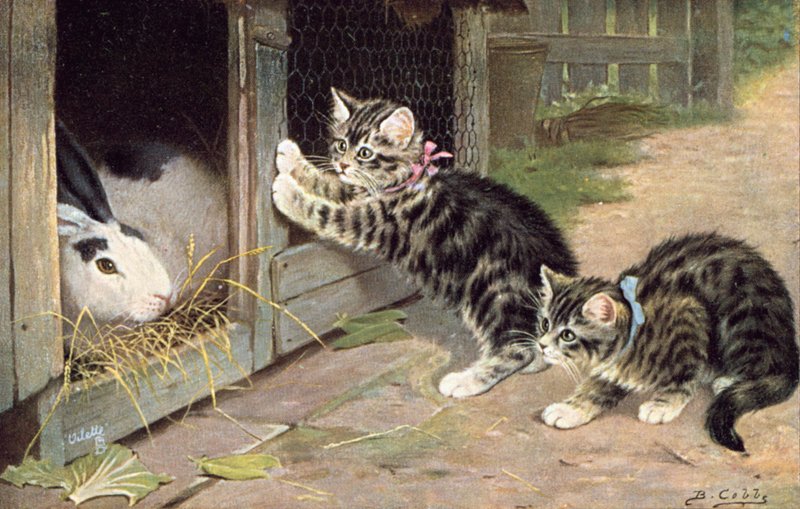 Carte postale de chat - Bernard Cobbe