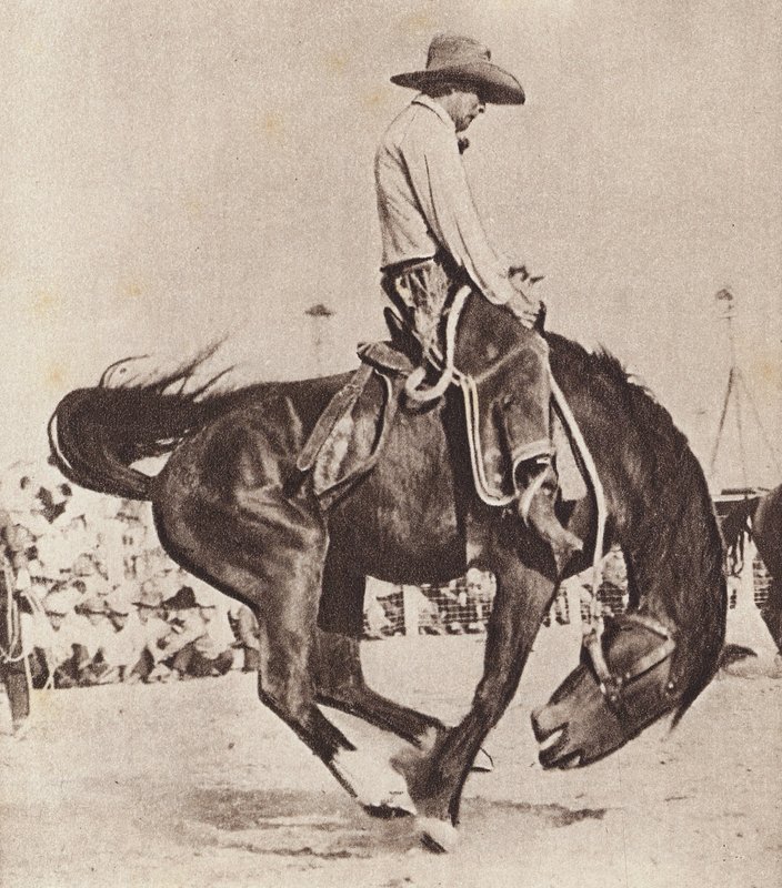 Cow-boy chevauchant un bronco (photo n/b) - Canadian Photographer