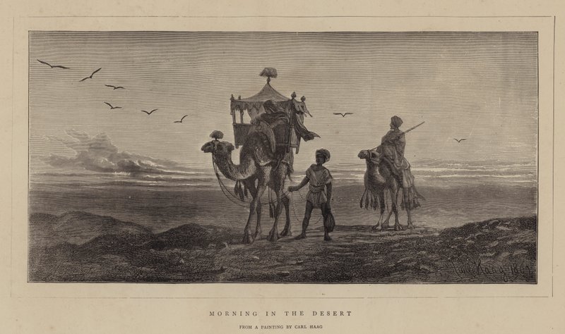 Matin dans le désert - Carl Haag