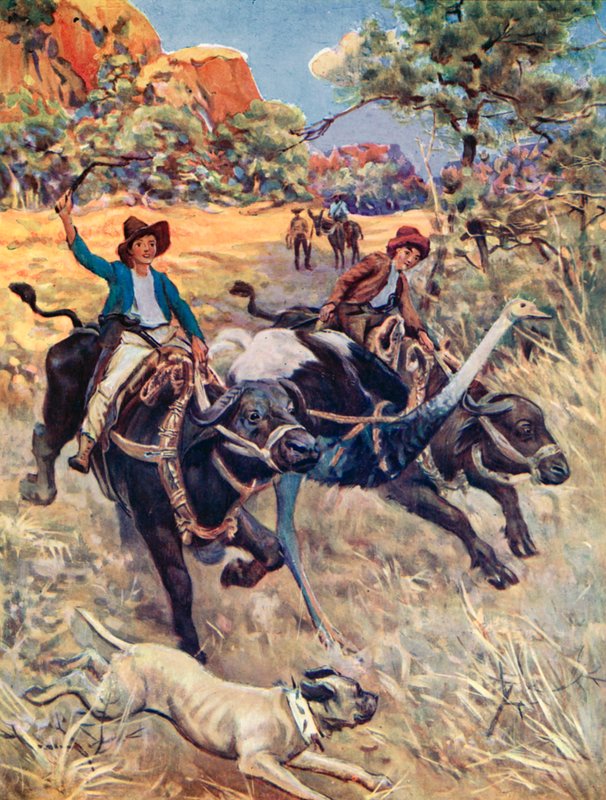 Illustration pour Le Robinson suisse - Charles Daniel Ward