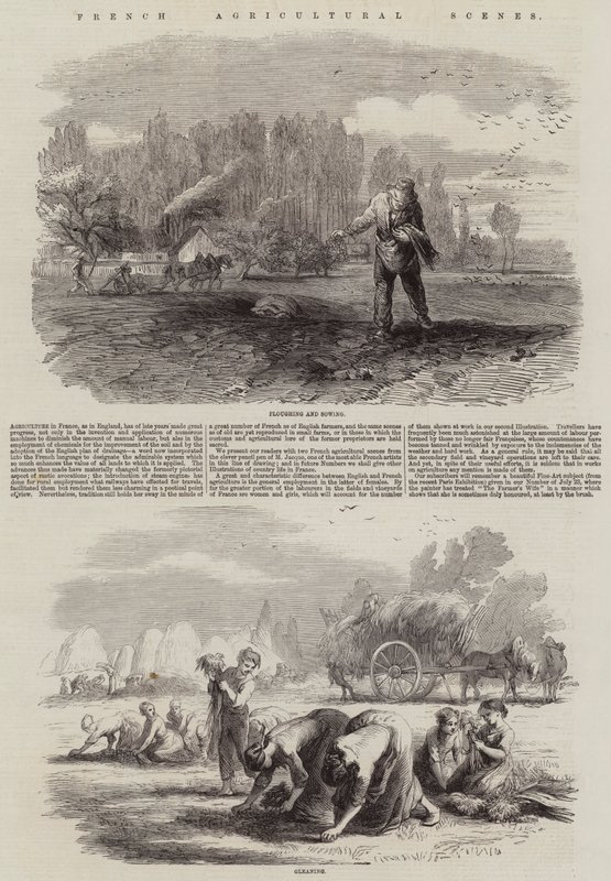 Scènes agricoles françaises - Charles Emile Jacque