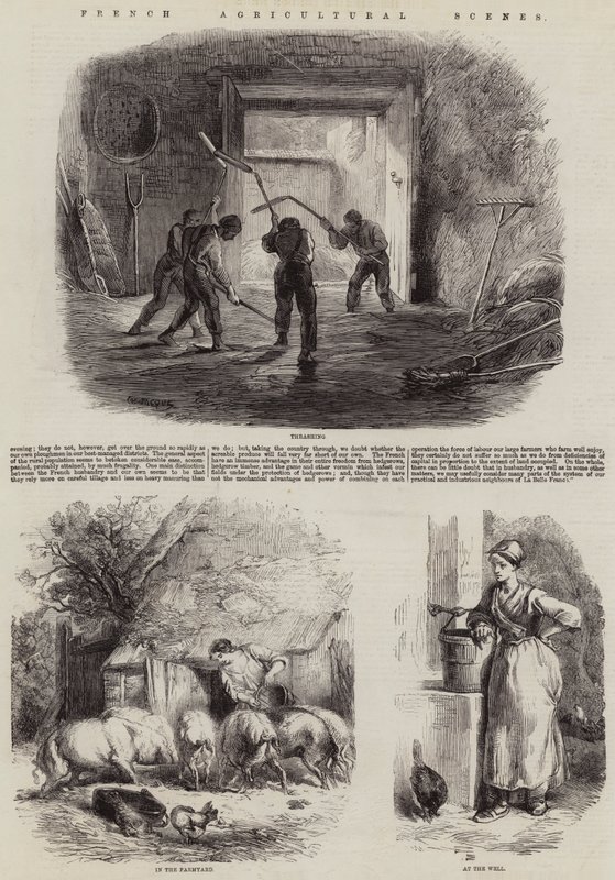 Scènes agricoles françaises - Charles Emile Jacque