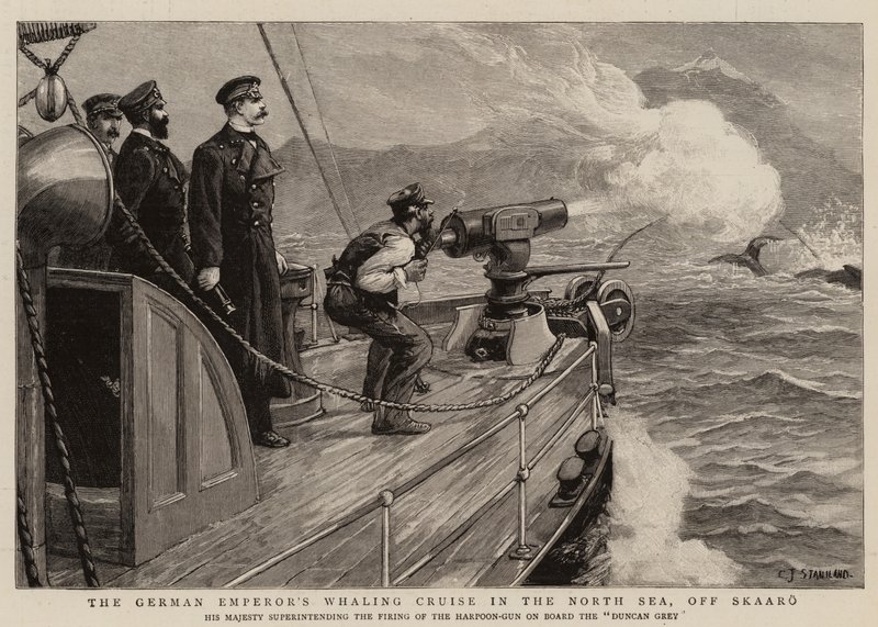 La Croisière Baleinière de l