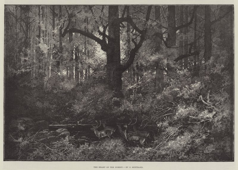 Le cœur de la forêt - Charles Auguste Loye