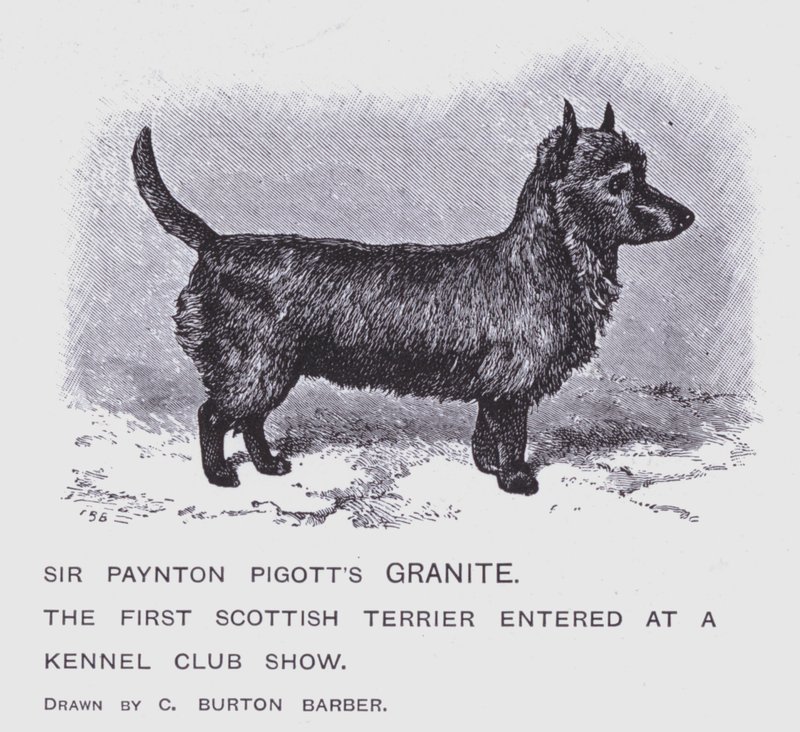 Le granit de Sir Paynton Pigott - Charles Burton (after) Barber