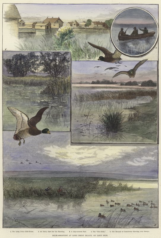 Chasse au canard à Long Point Island - Charles Whymper
