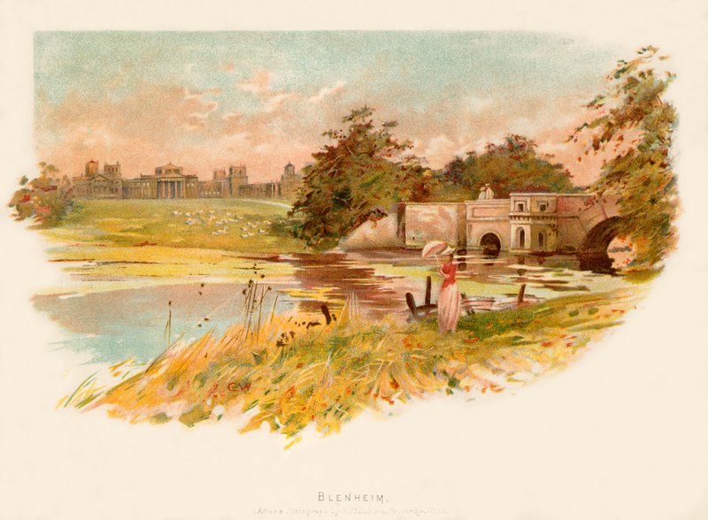 Blenheim - Charles Wilkinson