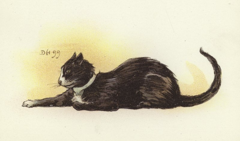 Chat de Savoie - Dudley Hardy