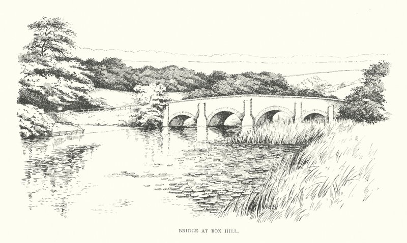 Pont à Box Hill - Duncan Moul