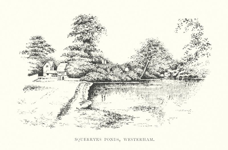 Étangs de Squerryes, Westerham - Duncan Moul