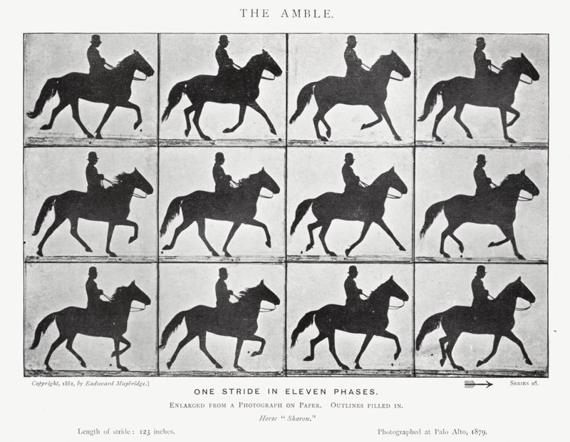 Eadweard Muybridge : L