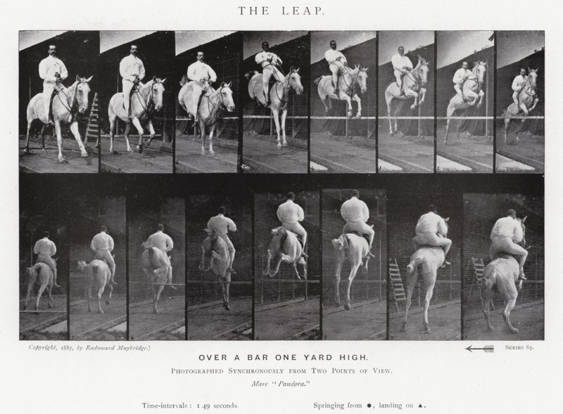 Eadweard Muybridge : Le Saut (photo n/b) - Eadweard Muybridge