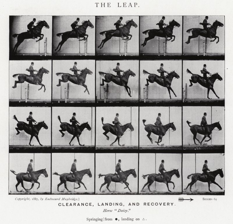 Eadweard Muybridge : Le Saut (photo n/b) - Eadweard Muybridge