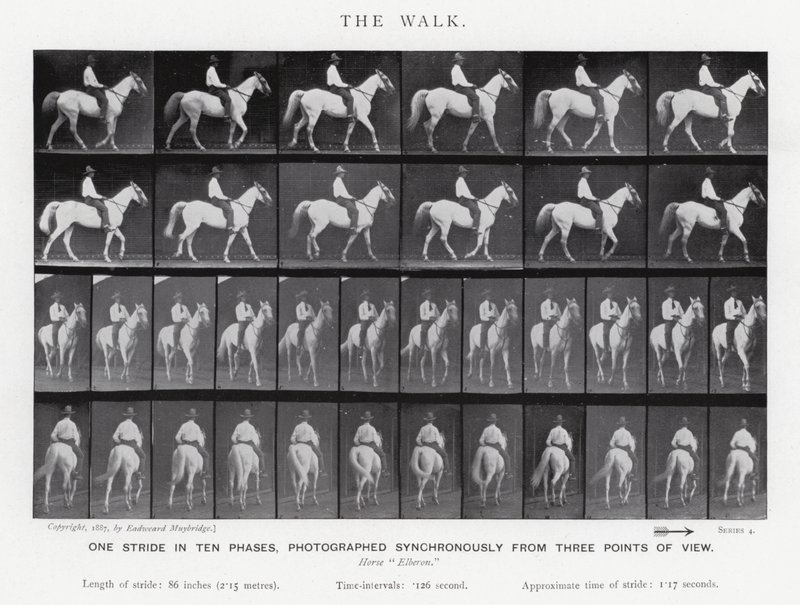 Eadweard Muybridge : La Marche (photo n/b) - Eadweard Muybridge