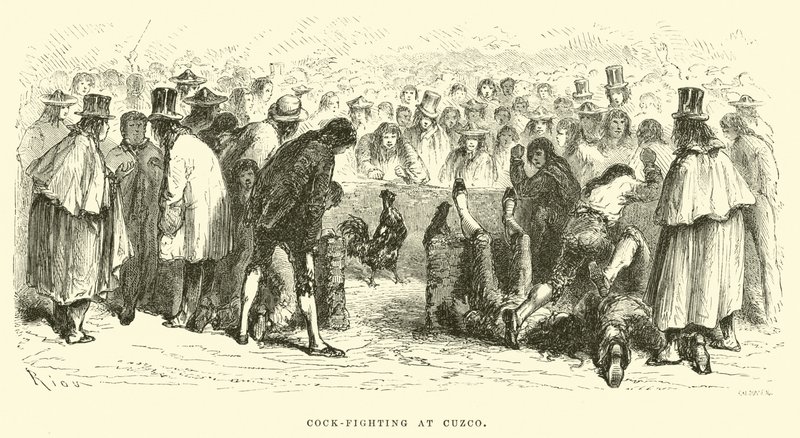 Combat de coqs à Cuzco - Edouard Riou