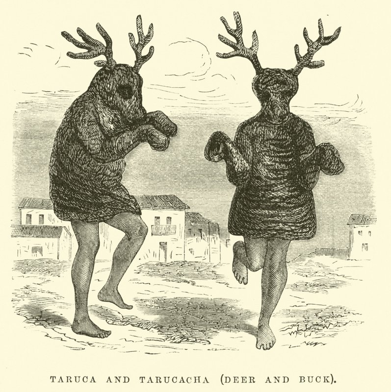 Taruca et Tarucacha, cerf et daim - Edouard Riou