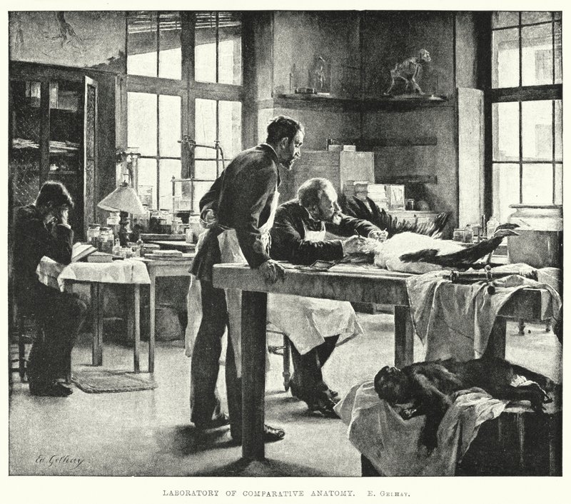 Laboratoire d