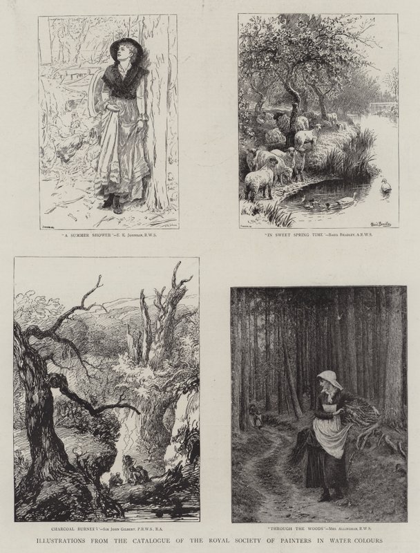 Illustrations du catalogue de l