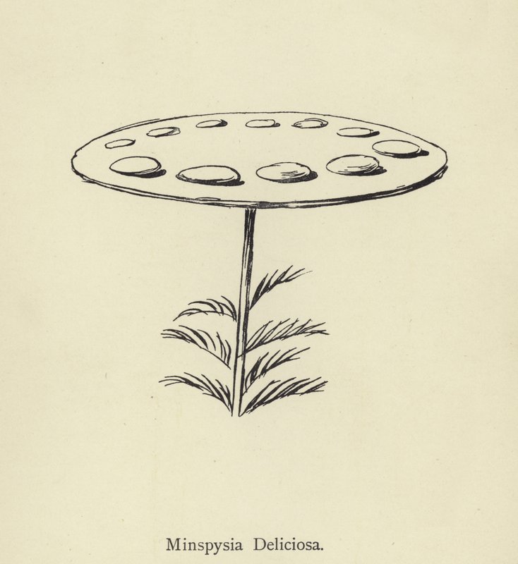Minspysia Deliciosa - Edward Lear