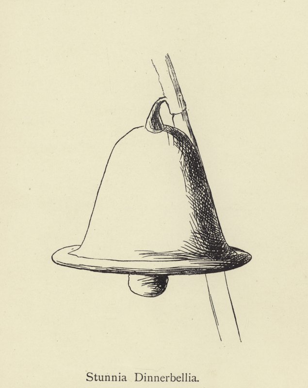 Stunnia Dinnerbellia - Edward Lear