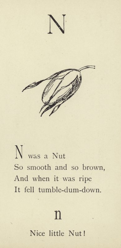 La lettre N - Edward Lear