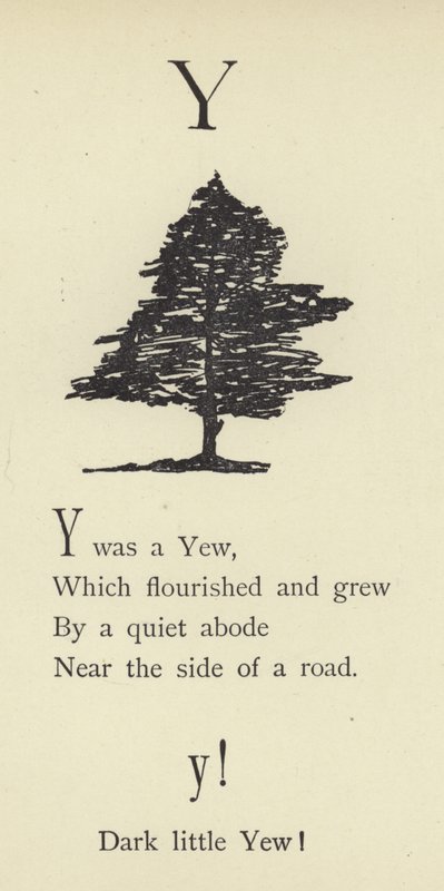 La lettre Y - Edward Lear
