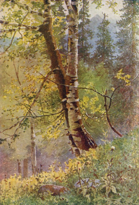 Dans la Forêt - Edward Mary Joseph Molyneux
