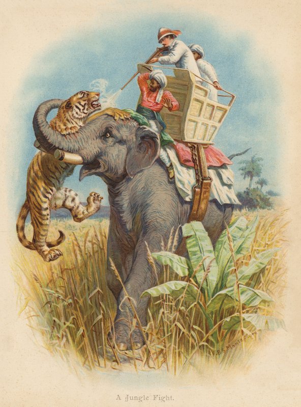 Un combat dans la jungle - Edward Brice Montefiore